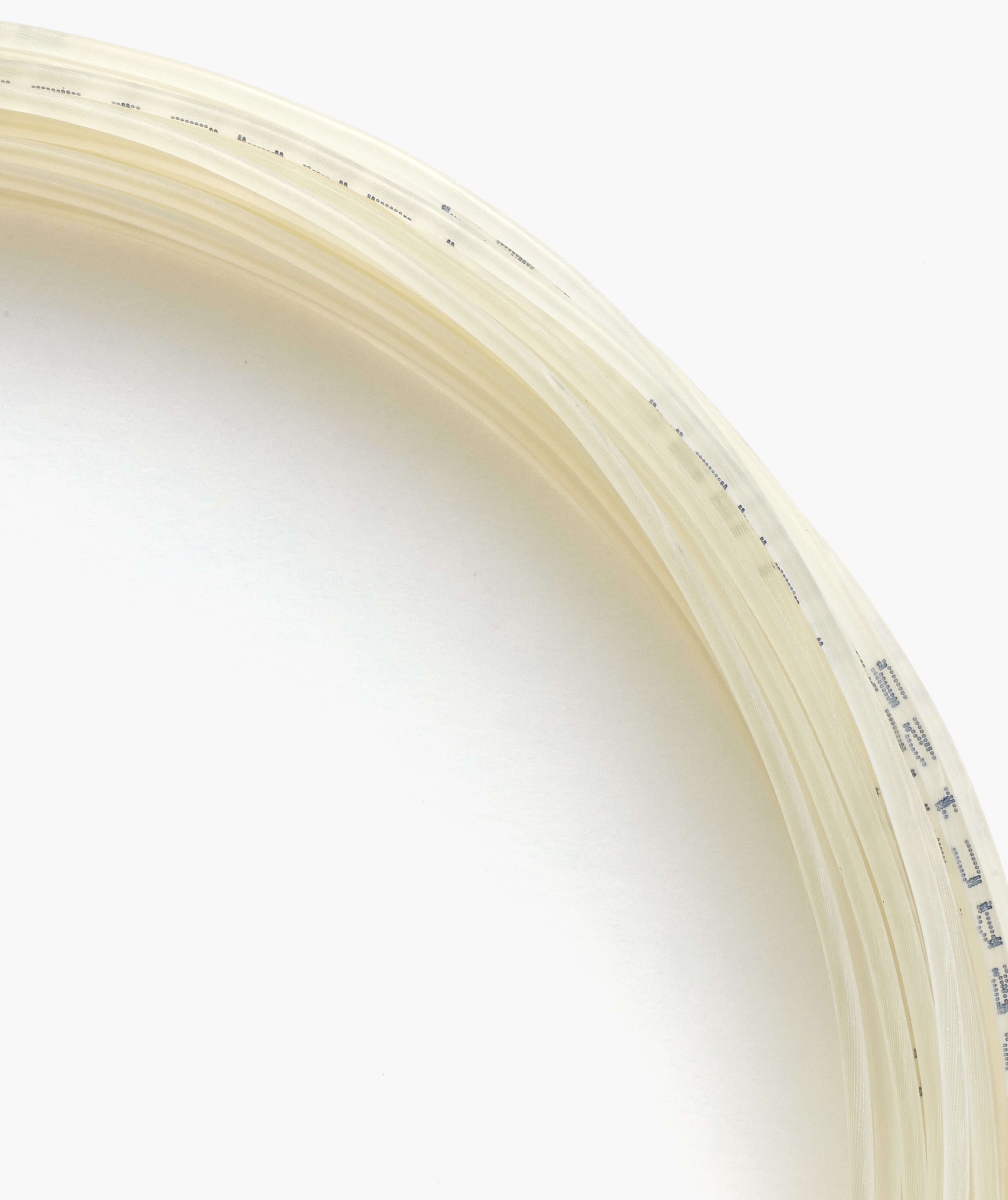 REXIS ACTIVATE 125 REEL – Yonex USA