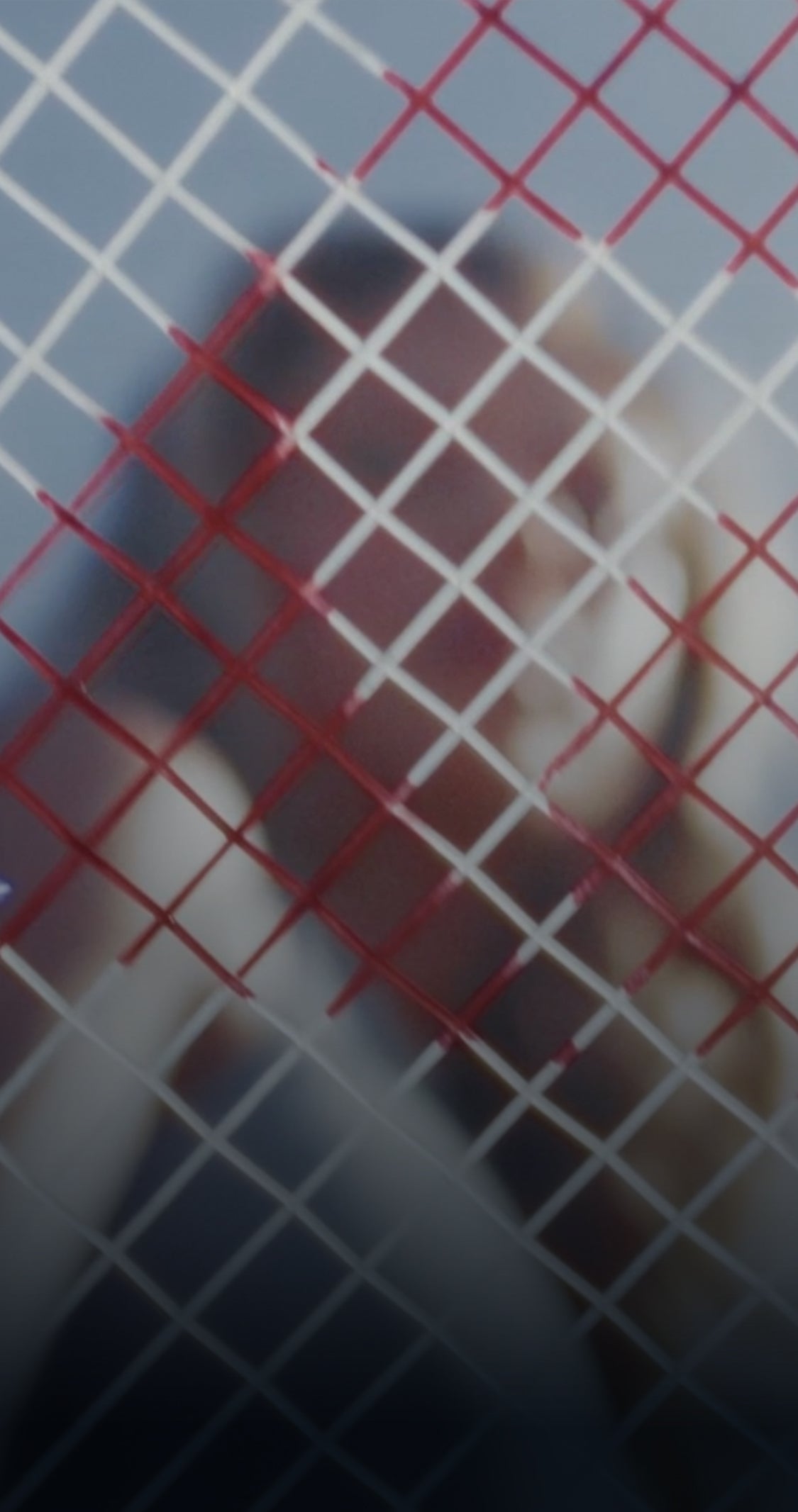 MUSE – Yonex USA